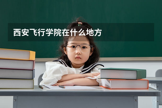 西安飞行学院在什么地方