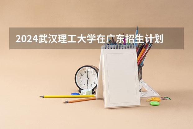 2024武汉理工大学在广东招生计划