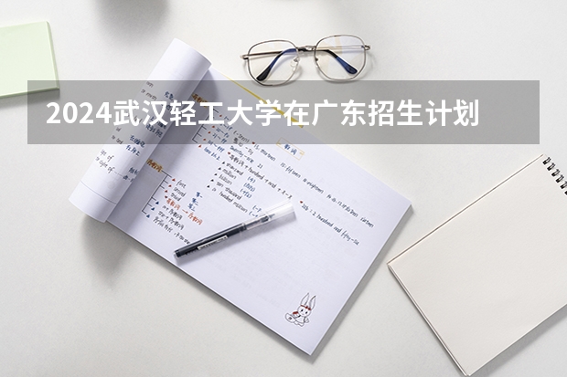 2024武汉轻工大学在广东招生计划