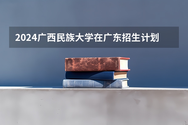 2024广西民族大学在广东招生计划