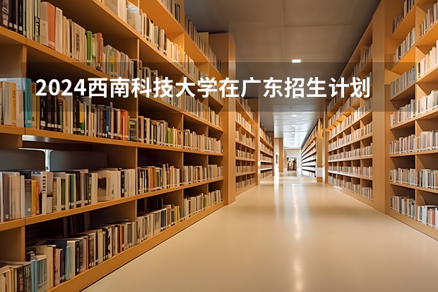2024西南科技大学在广东招生计划
