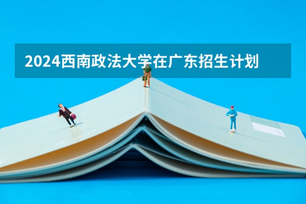2024西南政法大学在广东招生计划