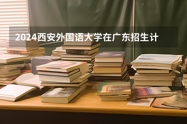 2024西安外国语大学在广东招生计划