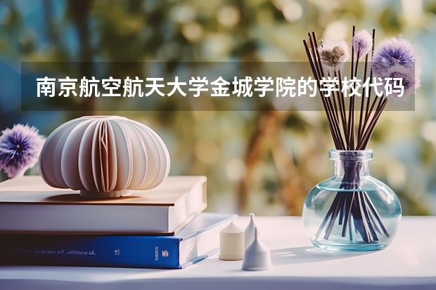 南京航空航天大学金城学院的学校代码是什么