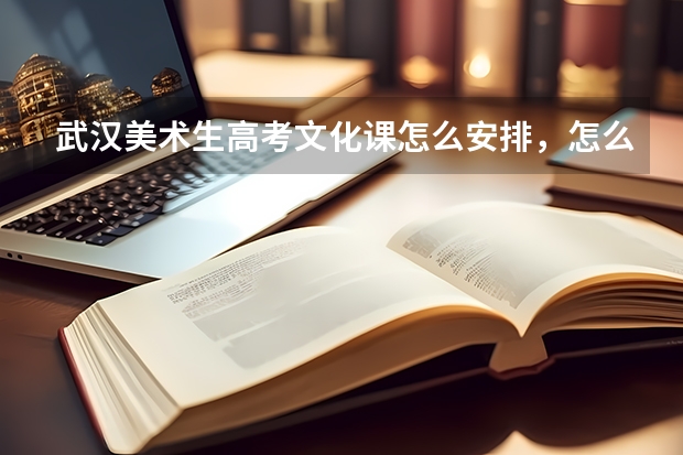 武汉美术生高考文化课怎么安排，怎么复习