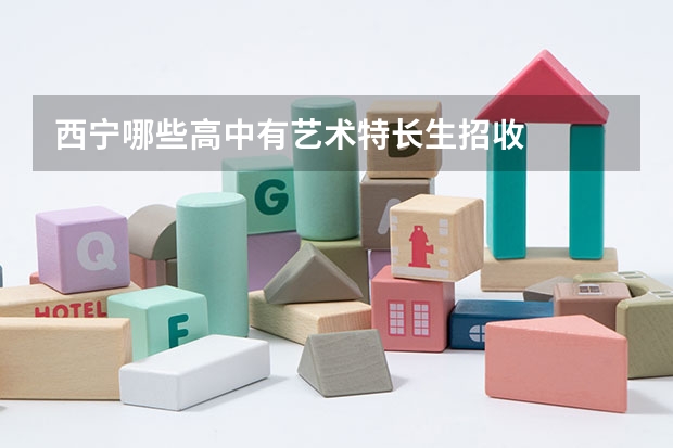 西宁哪些高中有艺术特长生招收