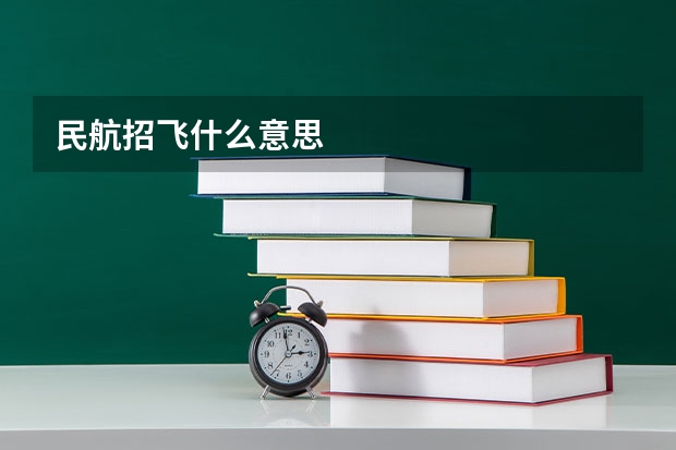 民航招飞什么意思