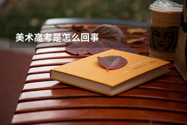 美术高考是怎么回事