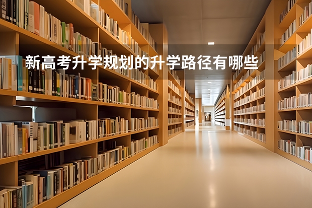 新高考升学规划的升学路径有哪些