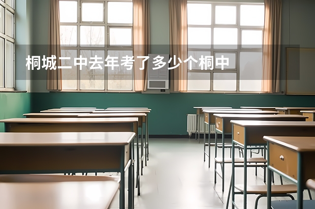 桐城二中去年考了多少个桐中