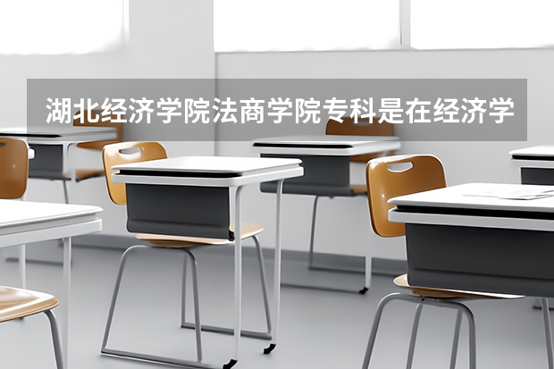 湖北经济学院法商学院专科是在经济学院本部吗？