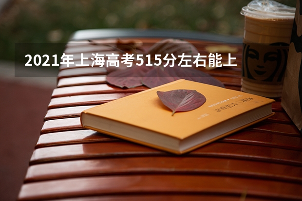 2021年上海高考515分左右能上什么样的大学