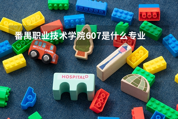 番禺职业技术学院607是什么专业
